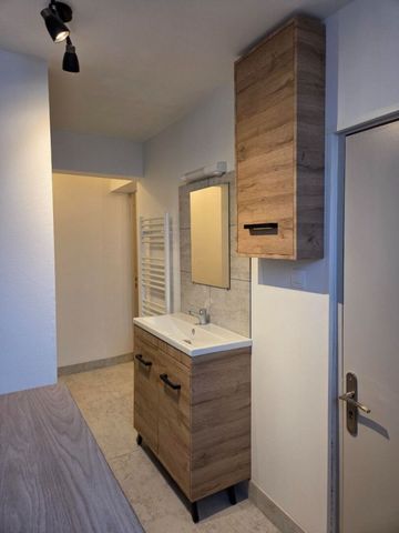 Appartement 2 pièces à Lunéville - Photo 5