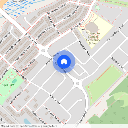 217 Burke Street, Hamilton