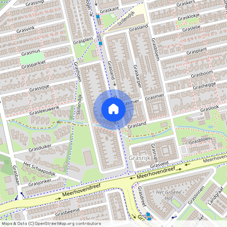 EINDHOVEN, Graspieper