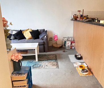 Chippendale - Photo 3