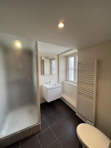 Location Appartement 1 pièce 17m² CLERMONT FERRAND 63000 - Photo 5