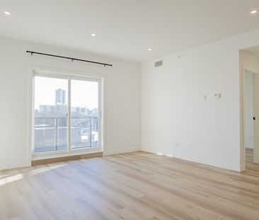 Newcastle: Black Accents – 710 Westminster, Winnipeg, MB - Photo 1