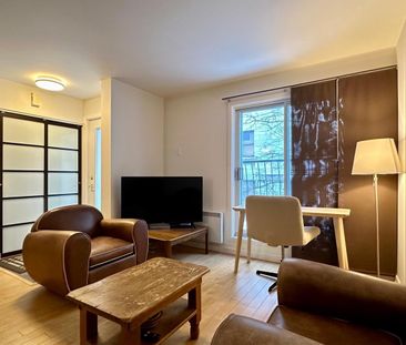 Appartement Montréal (Ville-Marie) � Louer - Photo 2