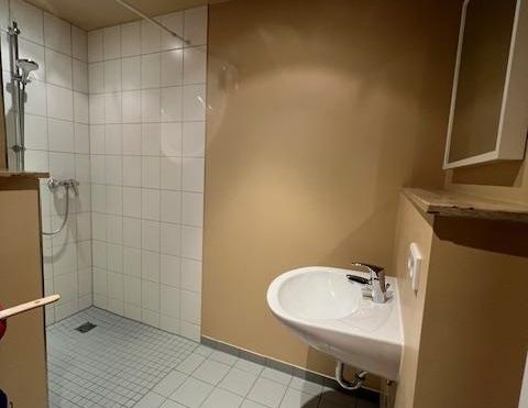 Individuelles 1 Zimmer DG-Penthouse-Apartment mit Dachgarten - frei ab sofort - Foto 1