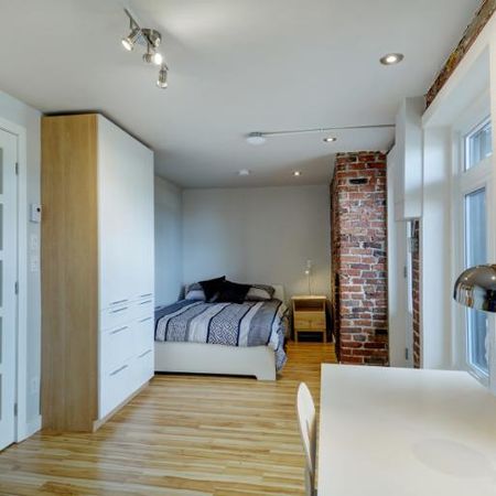 3 ½ entièrement meublé à louer Saint-Jean-Baptiste septembre 2025 - Photo 3