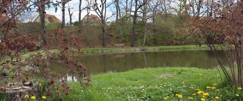 Tolles Appartement in grüner Lage ! - Foto 1