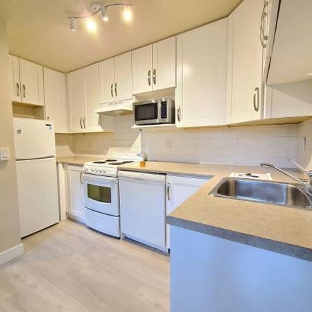 1 bedroom basement apartment unit in Kitsilano Vancouver - Photo 4