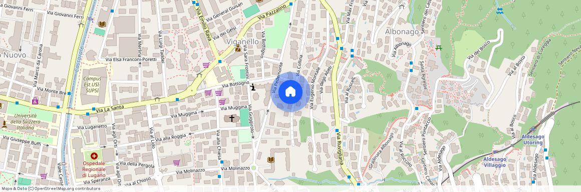 6962, Lugano, Via Collina, 26