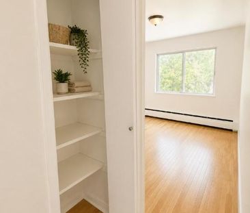 1 CH - 1 SDB - Montréal - $1,249 /mo - Photo 3