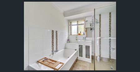 SPACIOUS FAMILY HOME WITH LARGE YARD + PRIVATE GATE TO PETER LIGHTFOOT OVAL - Photo 5