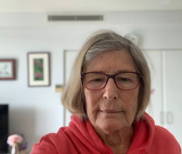 South Brisbane - Photo 5