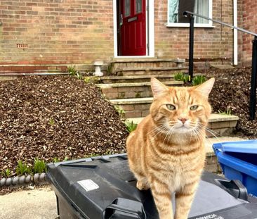 1 bedroom in a house share to rent - Photo 1