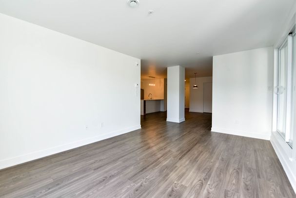 9675 Av. Papineau - Photo 1