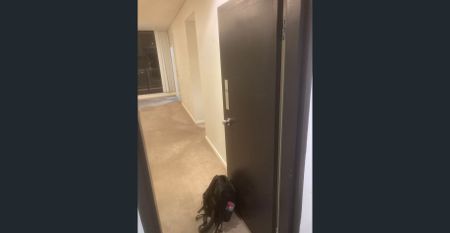 🏡 Fully Furnished 2-Bedroom Apartment in the Heart of Zetland｜Walk to East Village & Green Square - Photo 4