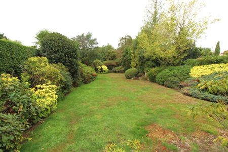 3 bedroom detached house to rent - Photo 5
