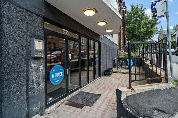 Renovated Studios Steps Away from McGill! - Photo 1