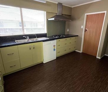 THREE BEDROOMS - FEILDING - Photo 2