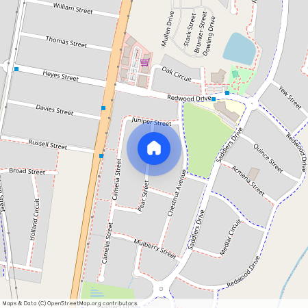 21 Pear Street, NSW 2321, Gillieston Heights