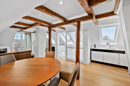 Enestående palæejenom i Charlottenlund - Foto 3