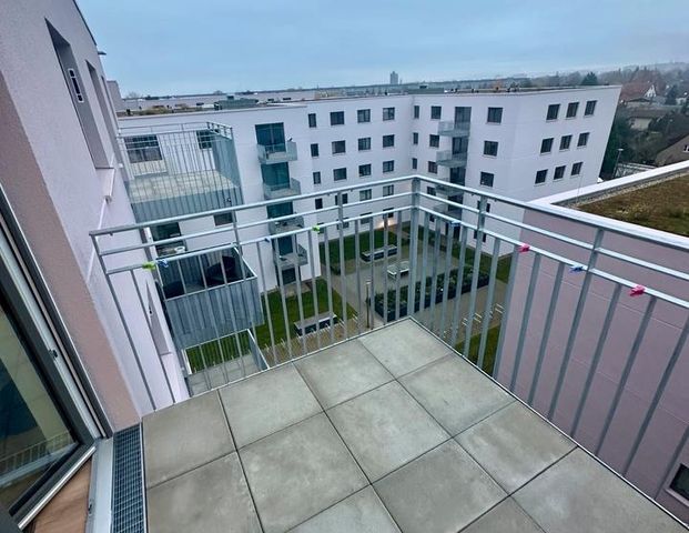 2-Zimmer Wohnung zur Zwischenmiete -2monate (Dezember und Janaur - Photo 1