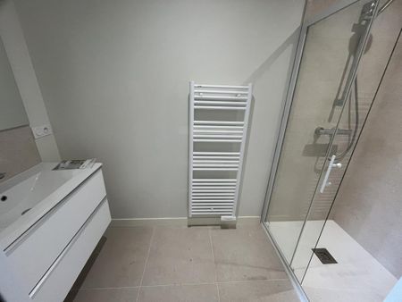 Location Maison 6 pièces 225m² BEAUCOUZE 49070 - Photo 4