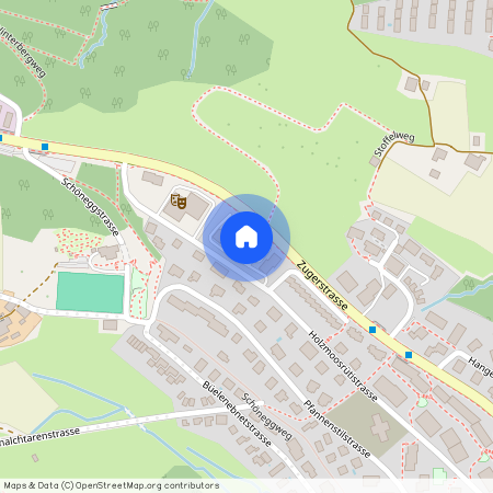 Holzmoosrütistrasse 44 a, 8820 Wädenswil