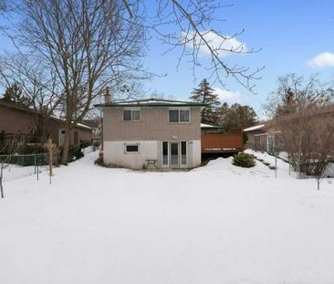 For Lease - 350 Amelia Street, Newmarket, Ontario - Photo 4