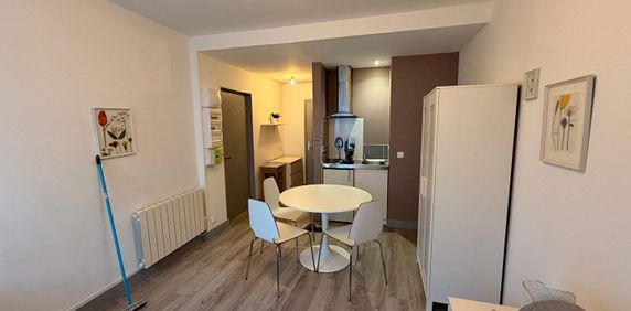 Location Appartement 1 pièce 19m² - Photo 2