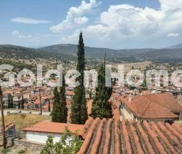 Μονοκατοικία για ενοικίαση Κέντρο (Δεσφίνα) - Photo 3