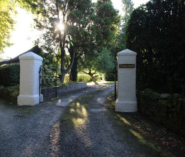 1 bedroom cottage to rent - Photo 2