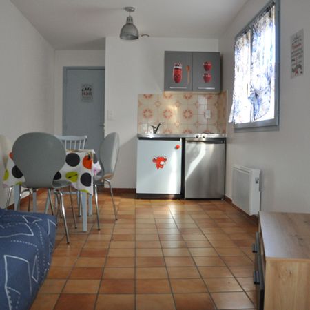 Location Appartement 1 pièce 18m² - Photo 3