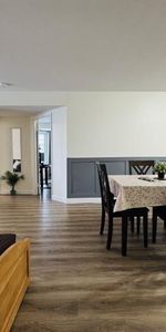 Appartement 4 ½ à louer Sainte-Foy / Sillery juillet 2026 - Photo 4