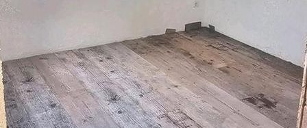 DG 2,5 Zimmer Wohnung zu vermieten - Photo 1