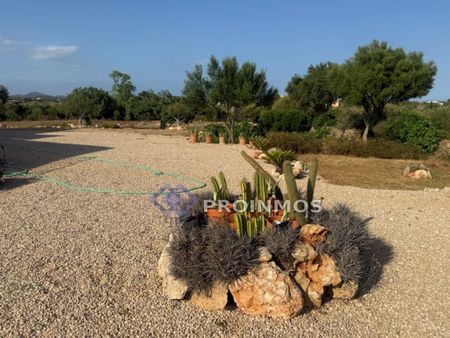 3 room luxury Villa for rent in Manacor, Spain - Photo 5