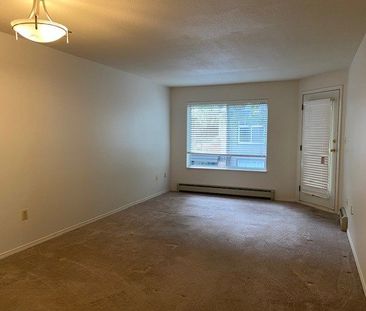 MAYFAIR VILLAGE WEST 1BD/1BA - Photo 3