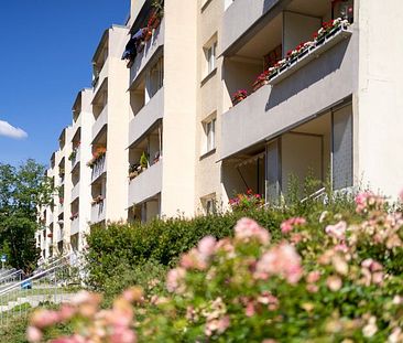 Gestalten Sie mit - 3 Zimmer-Wohnung in Halle - Foto 2