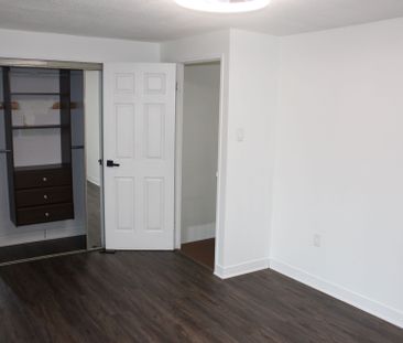 For Lease - 137 Jansen Avenue, Kitchener, Ontario - Photo 5