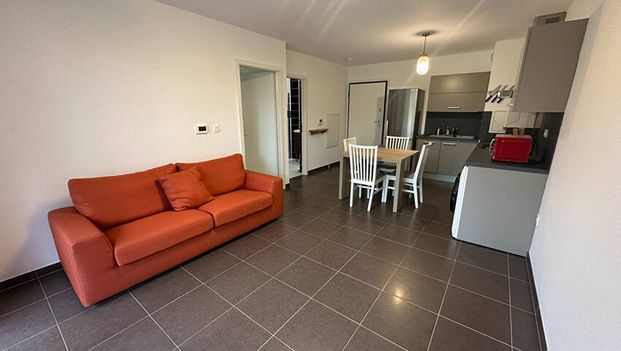 A LOUER - 2 PIECES MEUBLE AVEC TERRASSE ET JARDIN - REICHSTETT - Photo 1