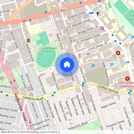 63 Fowler Street, Camperdown 2050, New South Wales