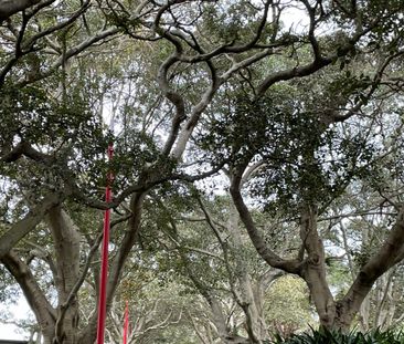 North Sydney - Photo 4