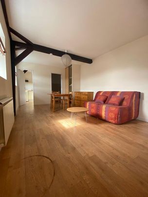 Location Appartement 1 pièce 29m² SAUMUR 49400 - Photo 1