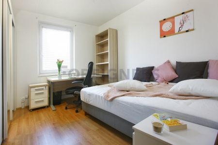 Apartment for rent, 3+1 - 2 bedrooms, 71m - Fotografie 3