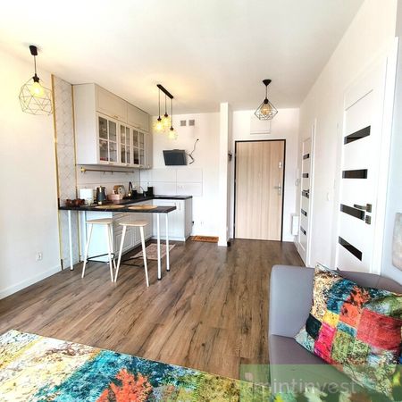 Nowe mieszkanie na wynajem, ul. Przepiórki - Photo 3