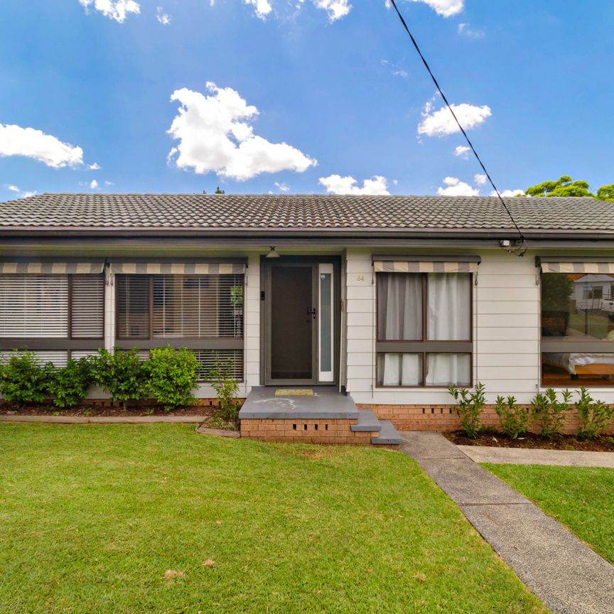 64 Neilson Street, Edgeworth NSW 2285 - House For Rent | Domain - Photo 1