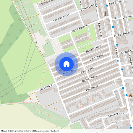 Mitchell Street, Stanley DH9