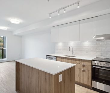 1008 Pandora Avenue, Victoria - Photo 6