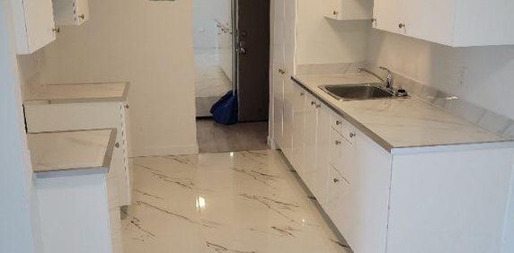 Très Bel Appartement 4 1/2 DDO à Louer - Boulevard des Sources - Photo 2