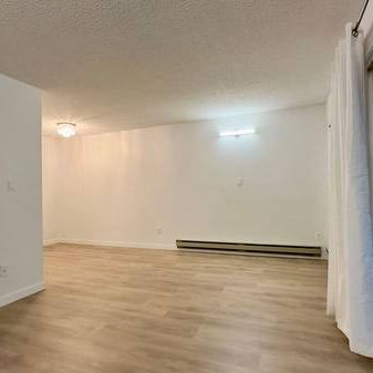 COMPLETELY RENOVATED Alexandra Place one bed one bath for rent - Photo 1