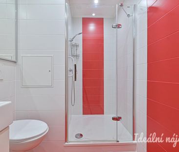 Pronájem bytuRenting an apartment 1+kk, 30 m2 - Fotografie 6