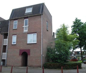 Goudmos 174 - Photo 1